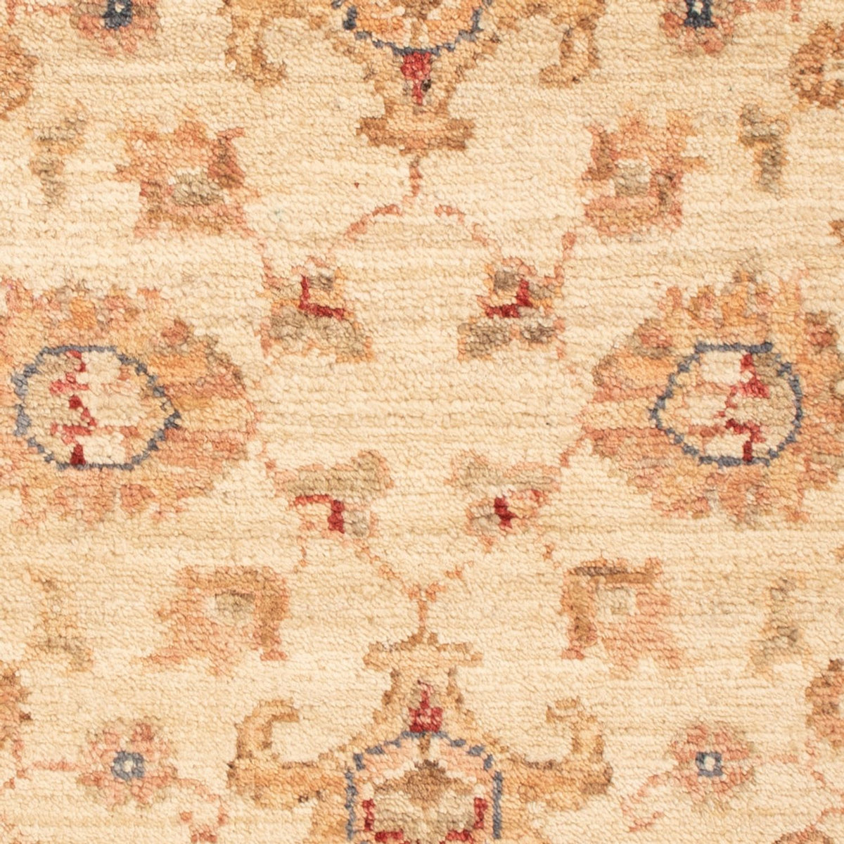 Ziegler Rug - 89 x 61 cm - beige