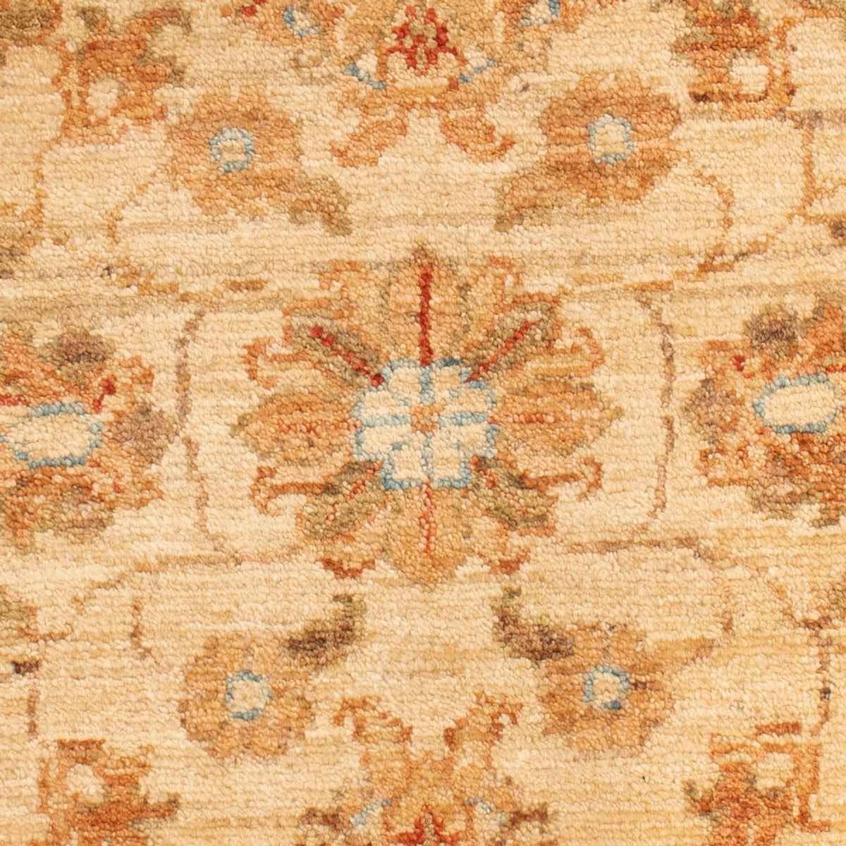 Ziegler Rug - 95 x 62 cm - beige