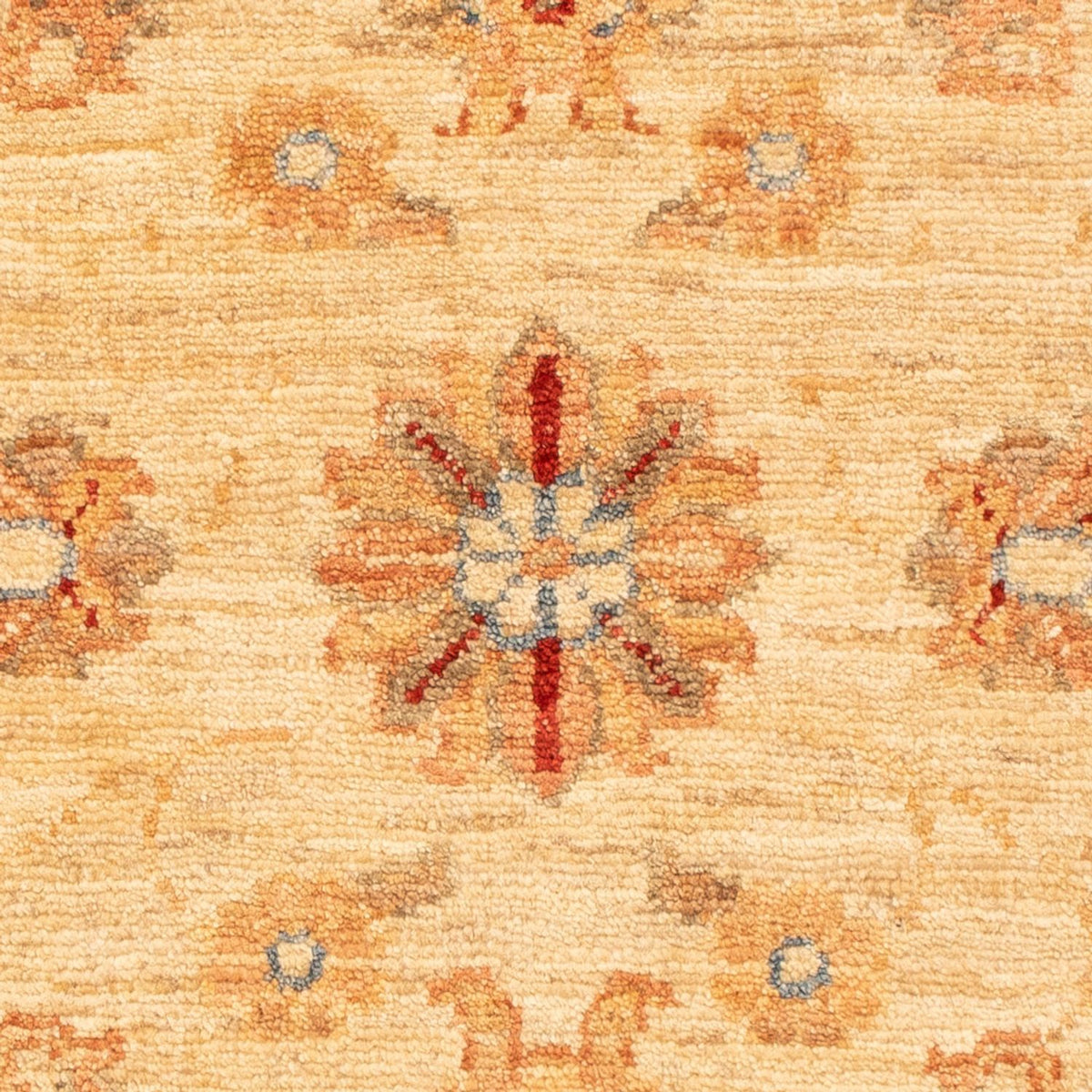 Ziegler Rug - 86 x 61 cm - beige