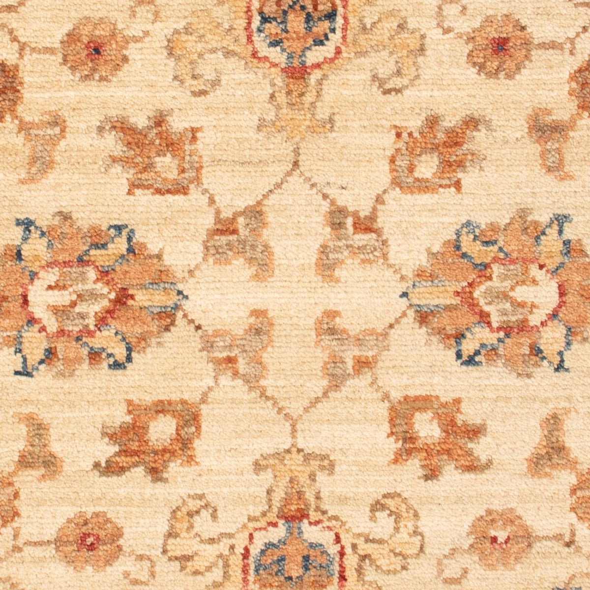 Ziegler Rug - 87 x 62 cm - beige