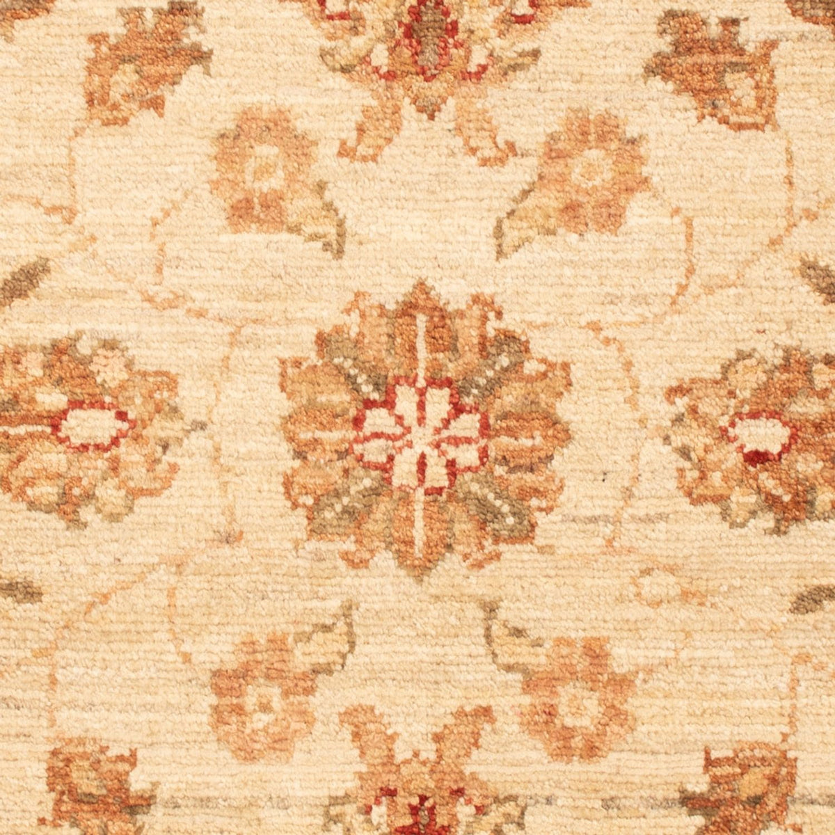 Ziegler Rug - 93 x 62 cm - beige