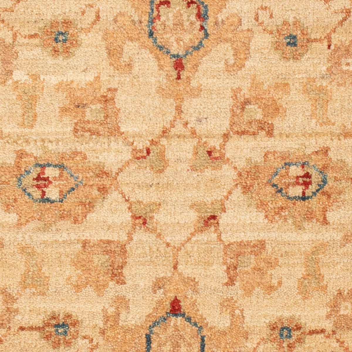 Ziegler Rug - 90 x 61 cm - beige