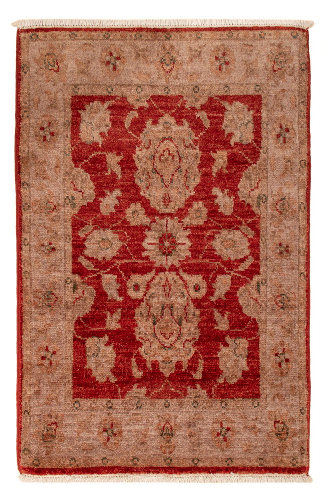 Ziegler Rug 59x88cm - Oriental Rug