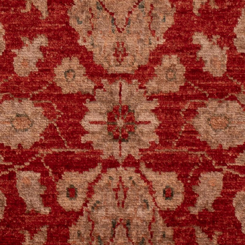 Ziegler Rug 59x88cm - Oriental Rug