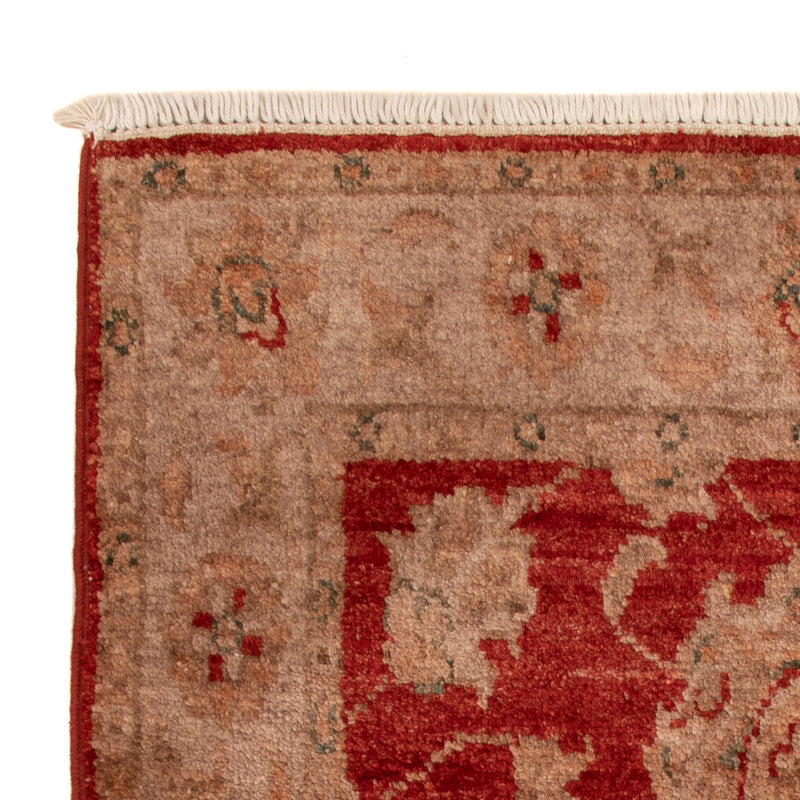 Ziegler Rug 59x88cm - Oriental Rug