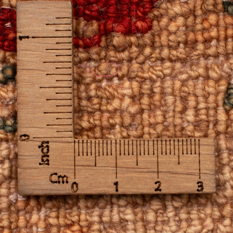 Ziegler Rug 59x88cm - Oriental Rug