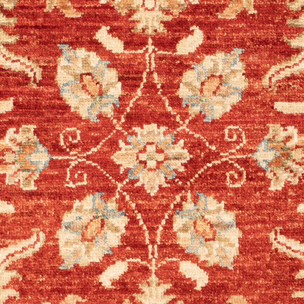 Ziegler Rug - 90 x 63 cm - red