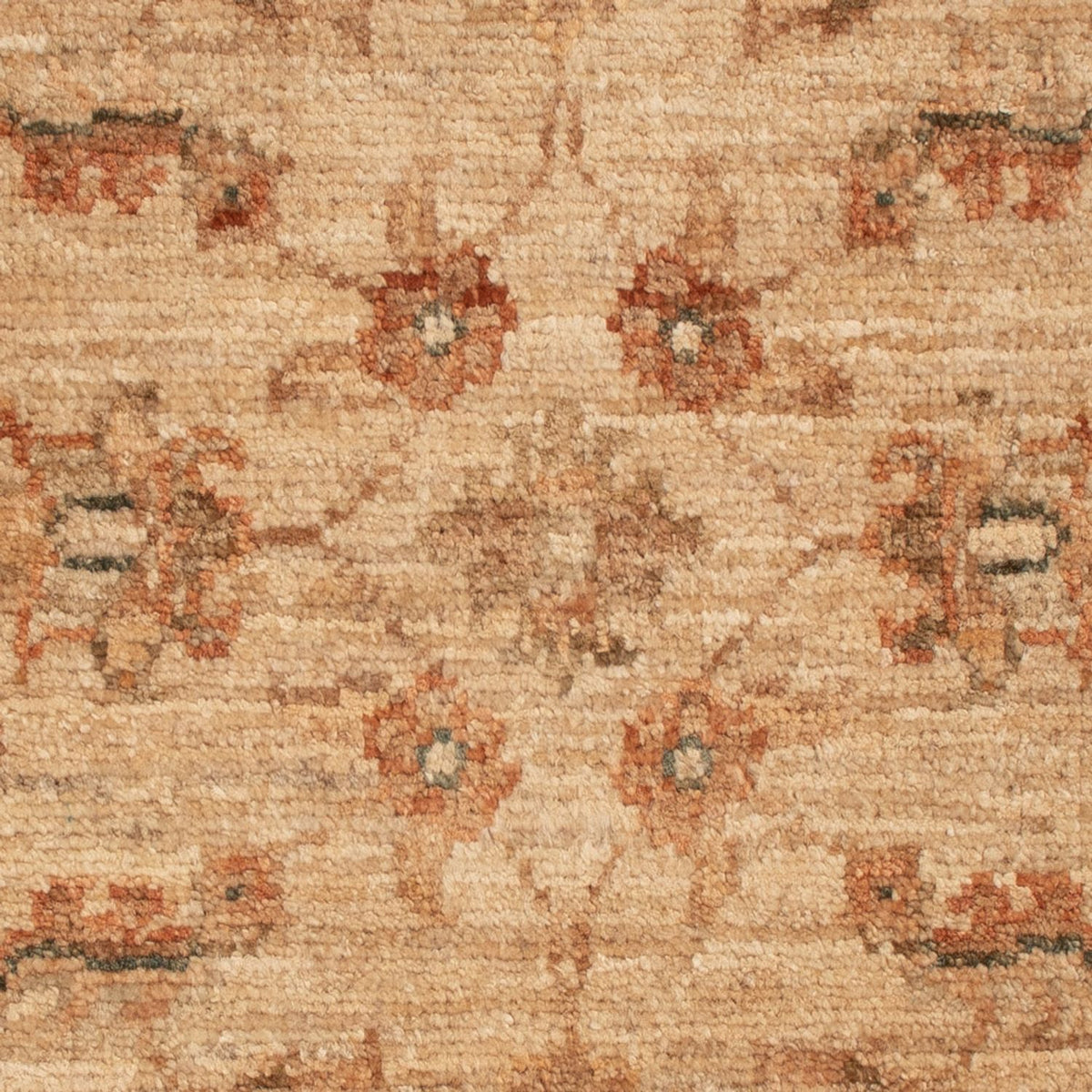 Ziegler Rug square  - 71 x 51 cm - beige