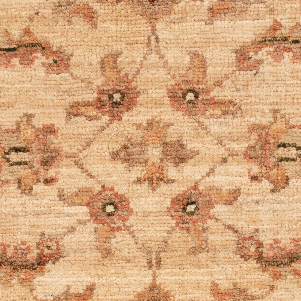 Ziegler Rug - 63 x 48 cm - beige