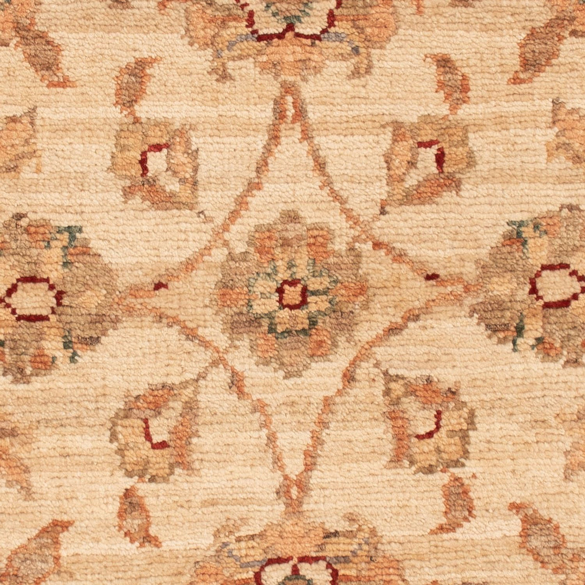 Ziegler Rug - 70 x 49 cm - beige