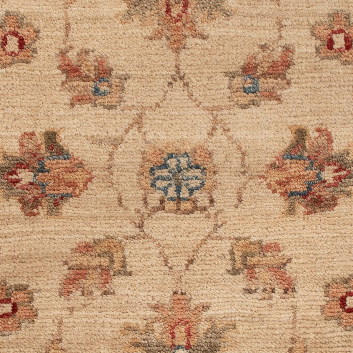 Ziegler Rug - 68 x 52 cm - beige