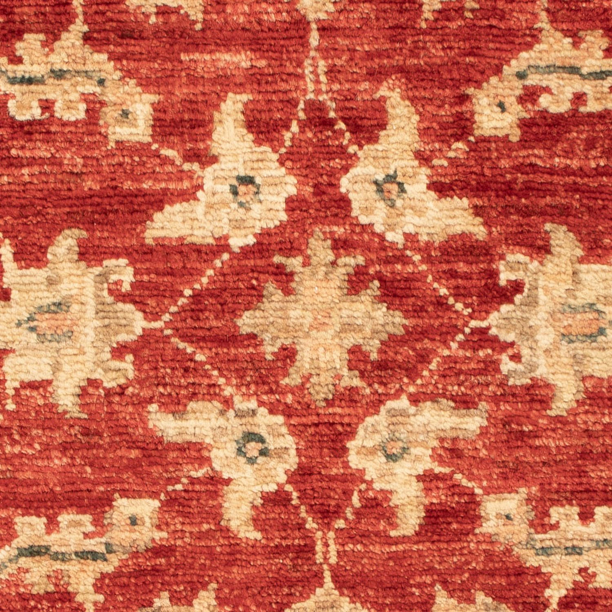 Ziegler Rug - 71 x 52 cm - red