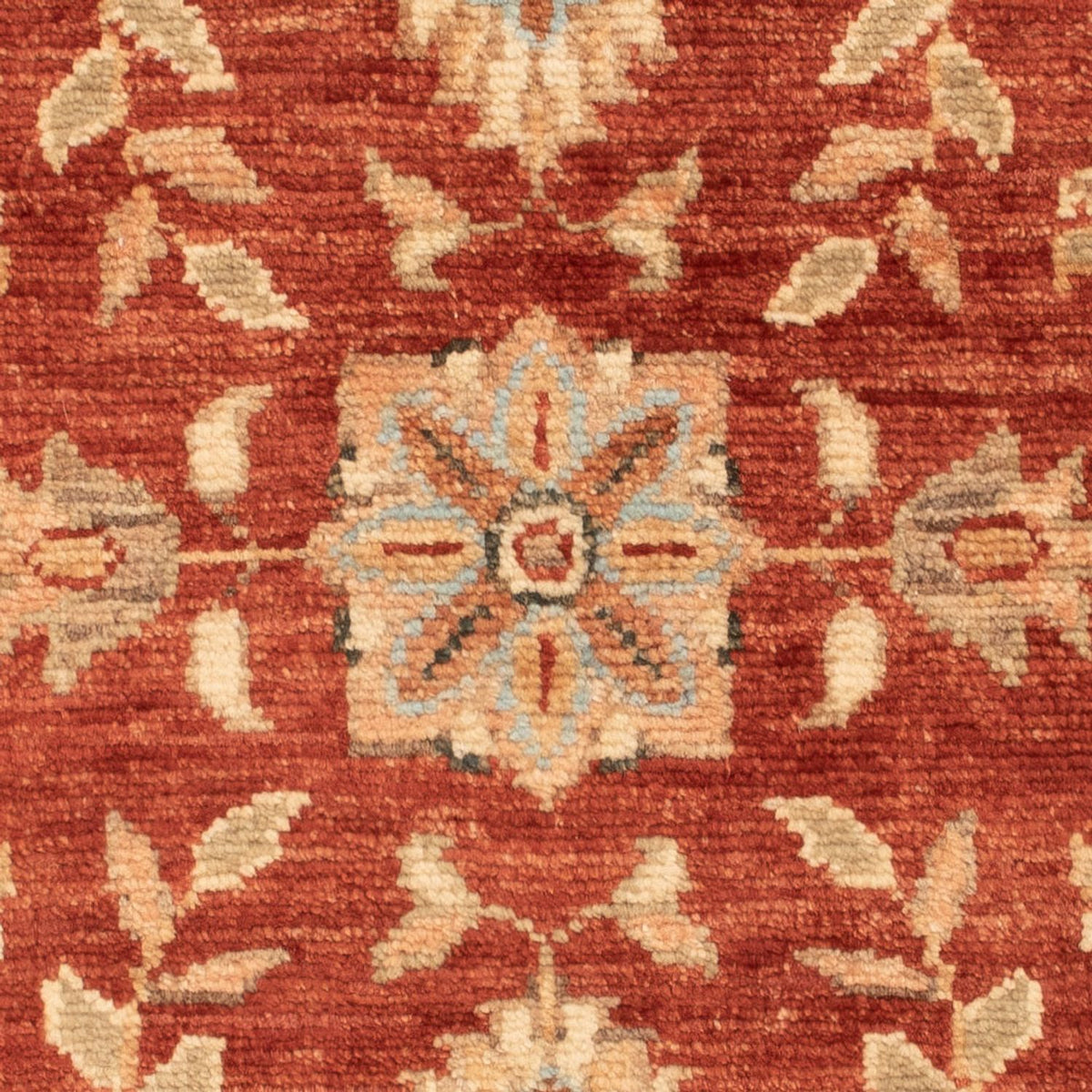 Ziegler Rug - 69 x 50 cm - rust