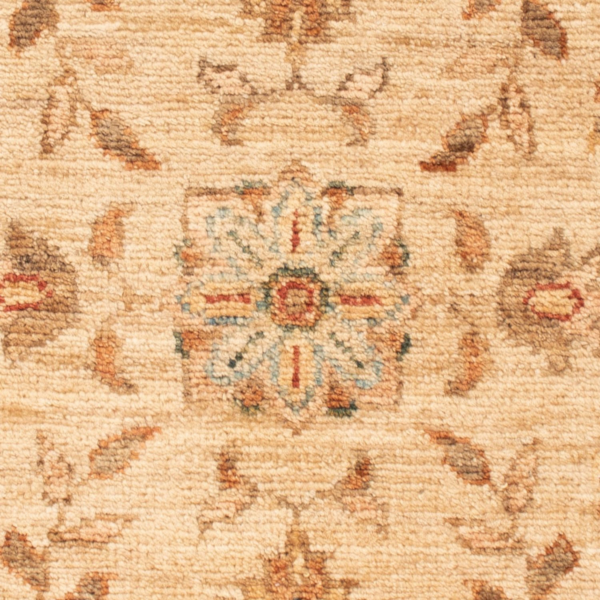 Ziegler Rug - 70 x 51 cm - beige
