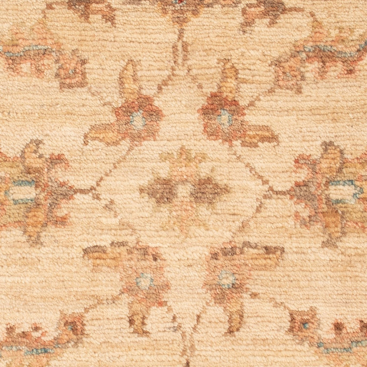 Ziegler Rug - 69 x 50 cm - beige