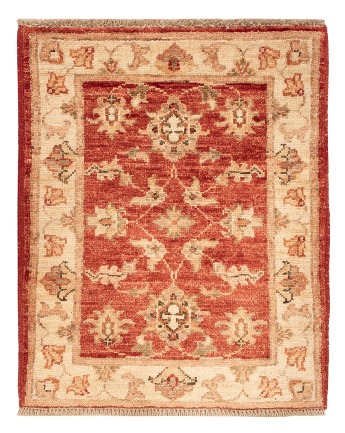 Ziegler Rug - 64 x 50 cm - rust