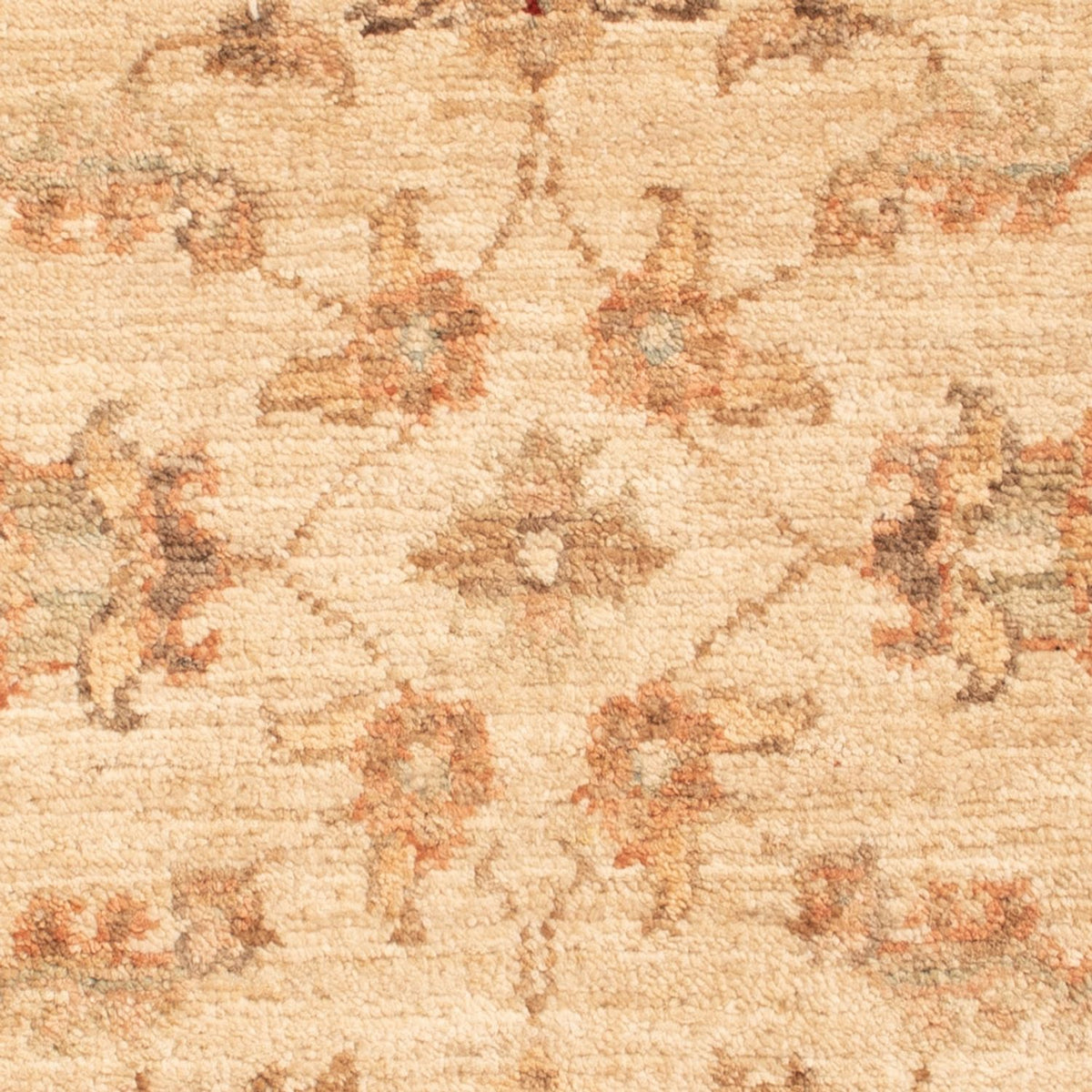 Ziegler Rug - 70 x 51 cm - beige