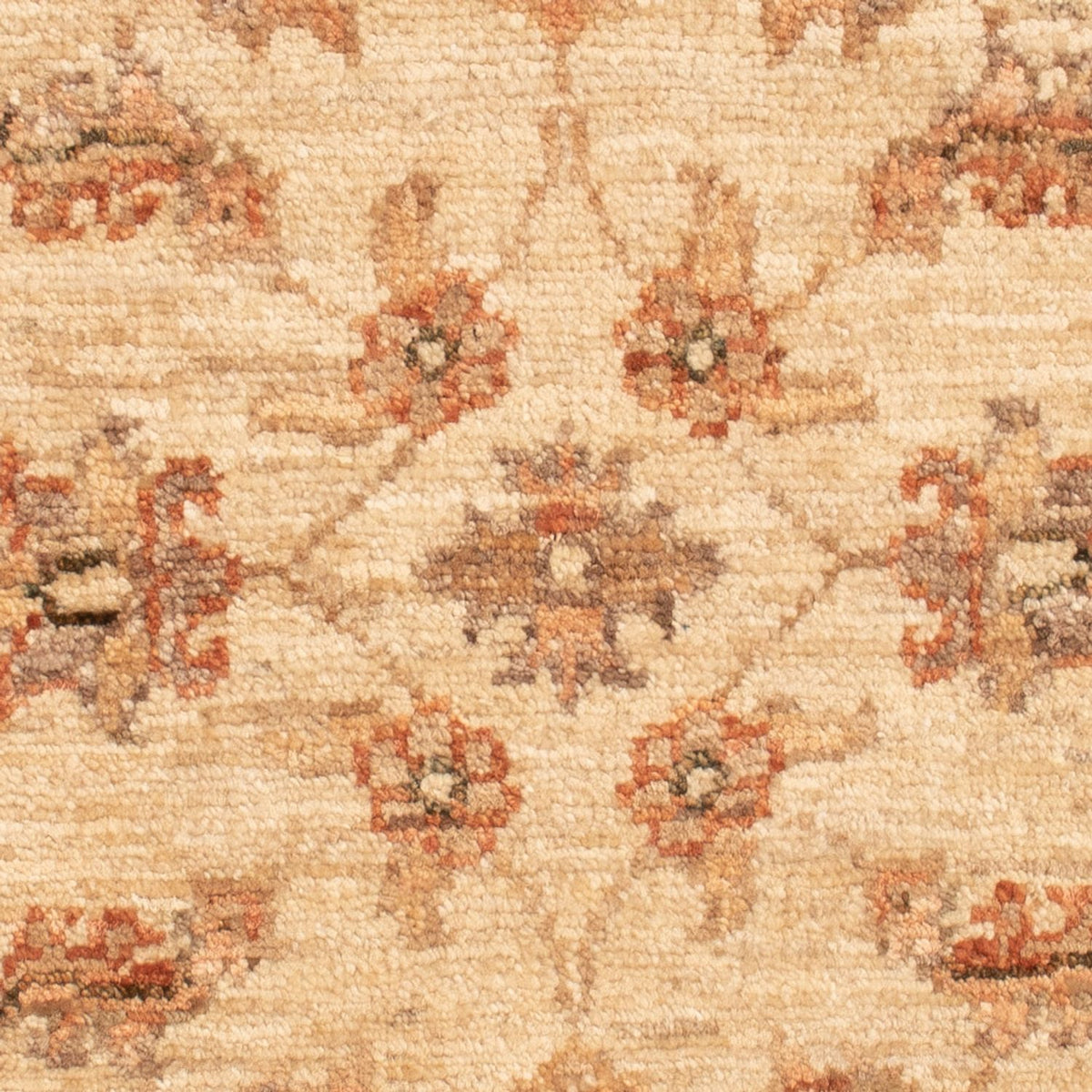 Ziegler Rug - 72 x 54 cm - beige