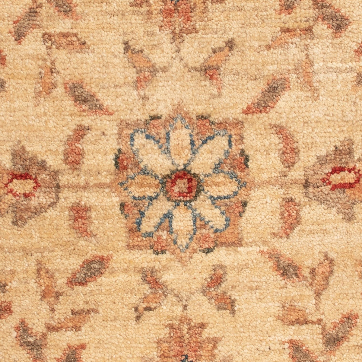 Ziegler Rug - 69 x 53 cm - beige