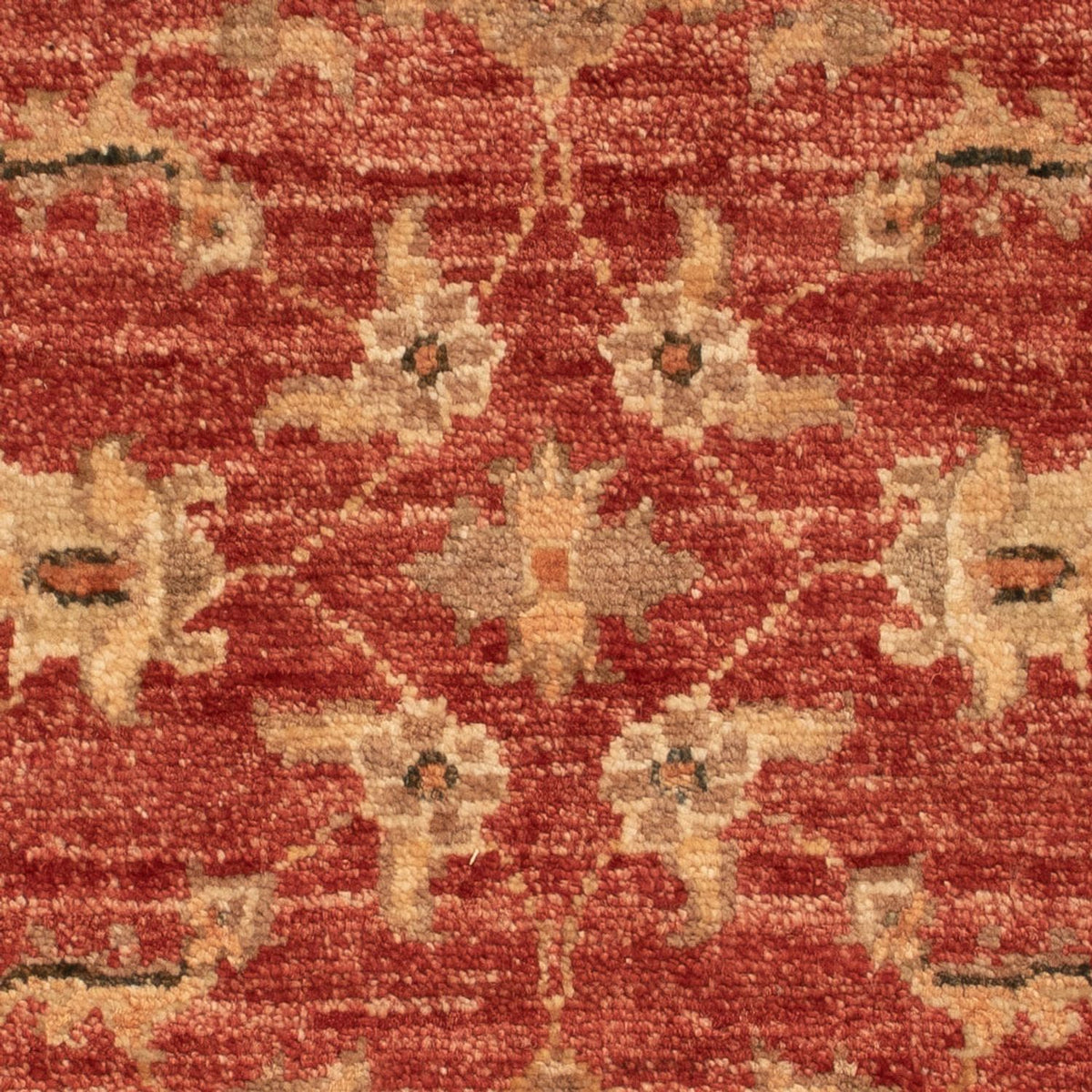 Ziegler Rug - 67 x 50 cm - red