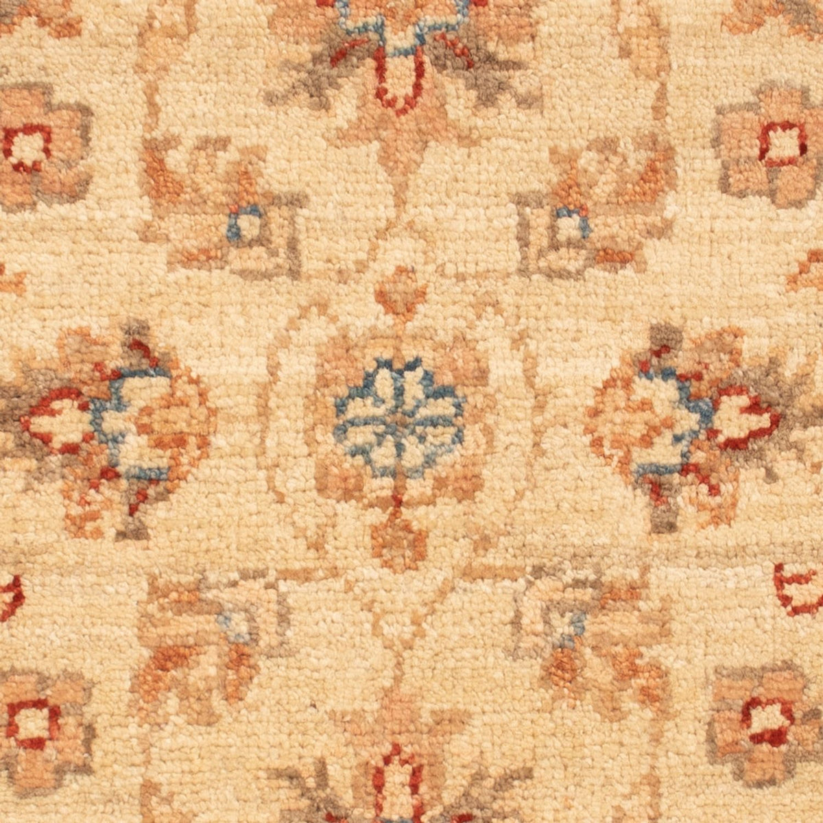 Ziegler Rug - 70 x 52 cm - beige