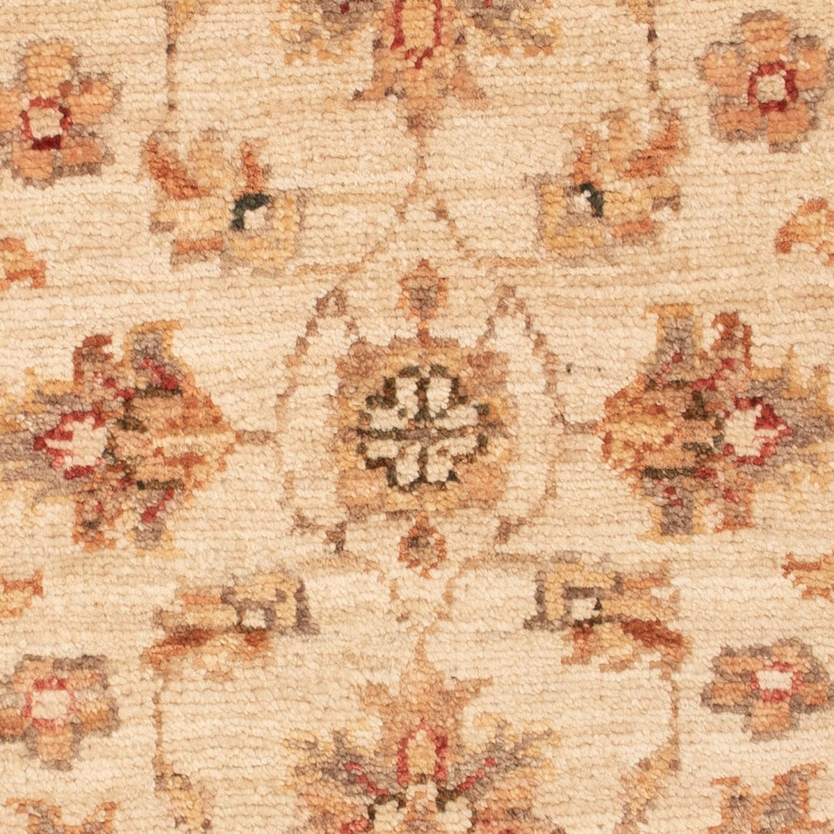 Ziegler Rug - 70 x 52 cm - beige