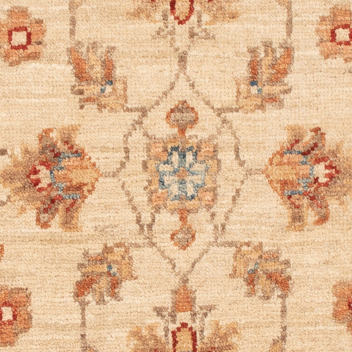 Ziegler Rug - 70 x 51 cm - beige