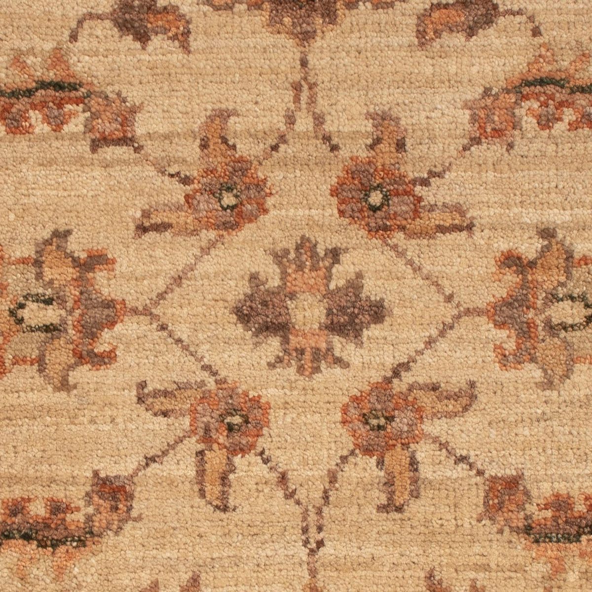 Ziegler Rug - 69 x 50 cm - beige
