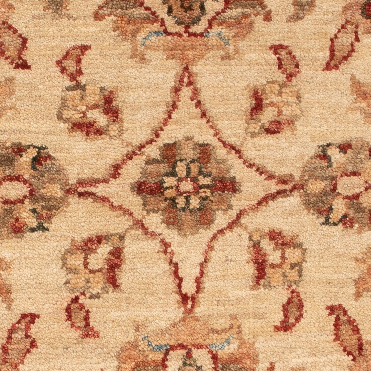 Ziegler Rug - 72 x 54 cm - beige
