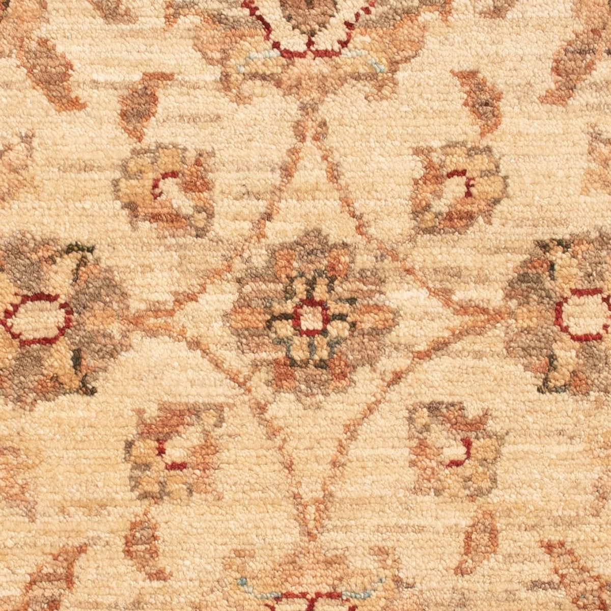 Ziegler Rug - 72 x 50 cm - beige