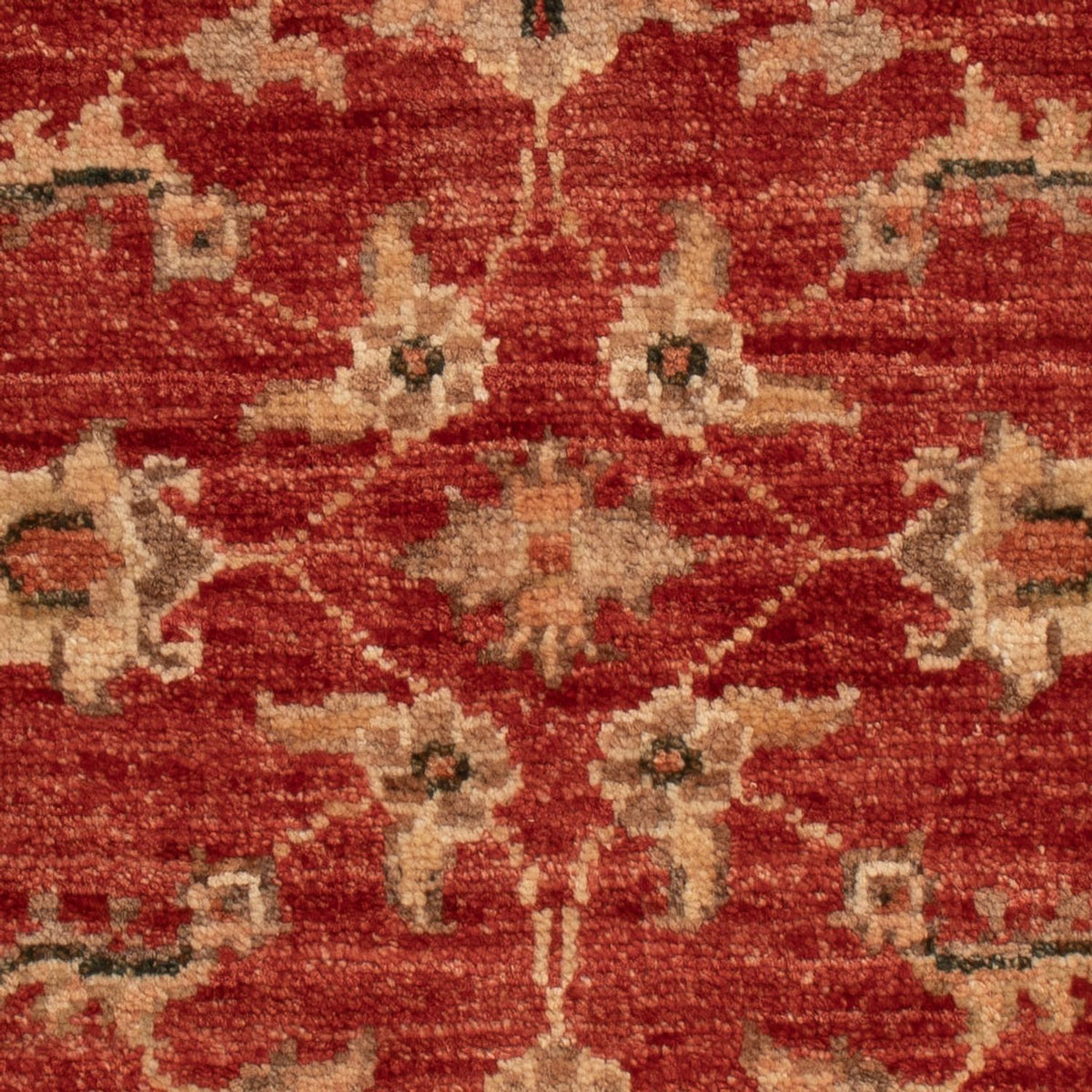Ziegler Rug - 63 x 52 cm - red