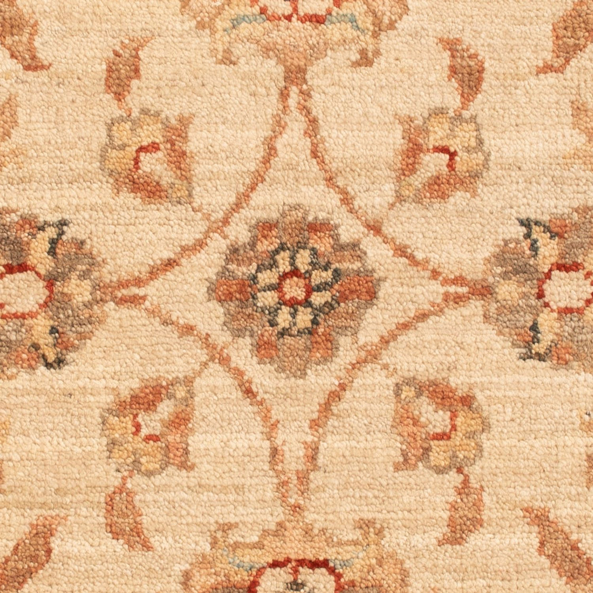 Ziegler Rug - 70 x 48 cm - beige