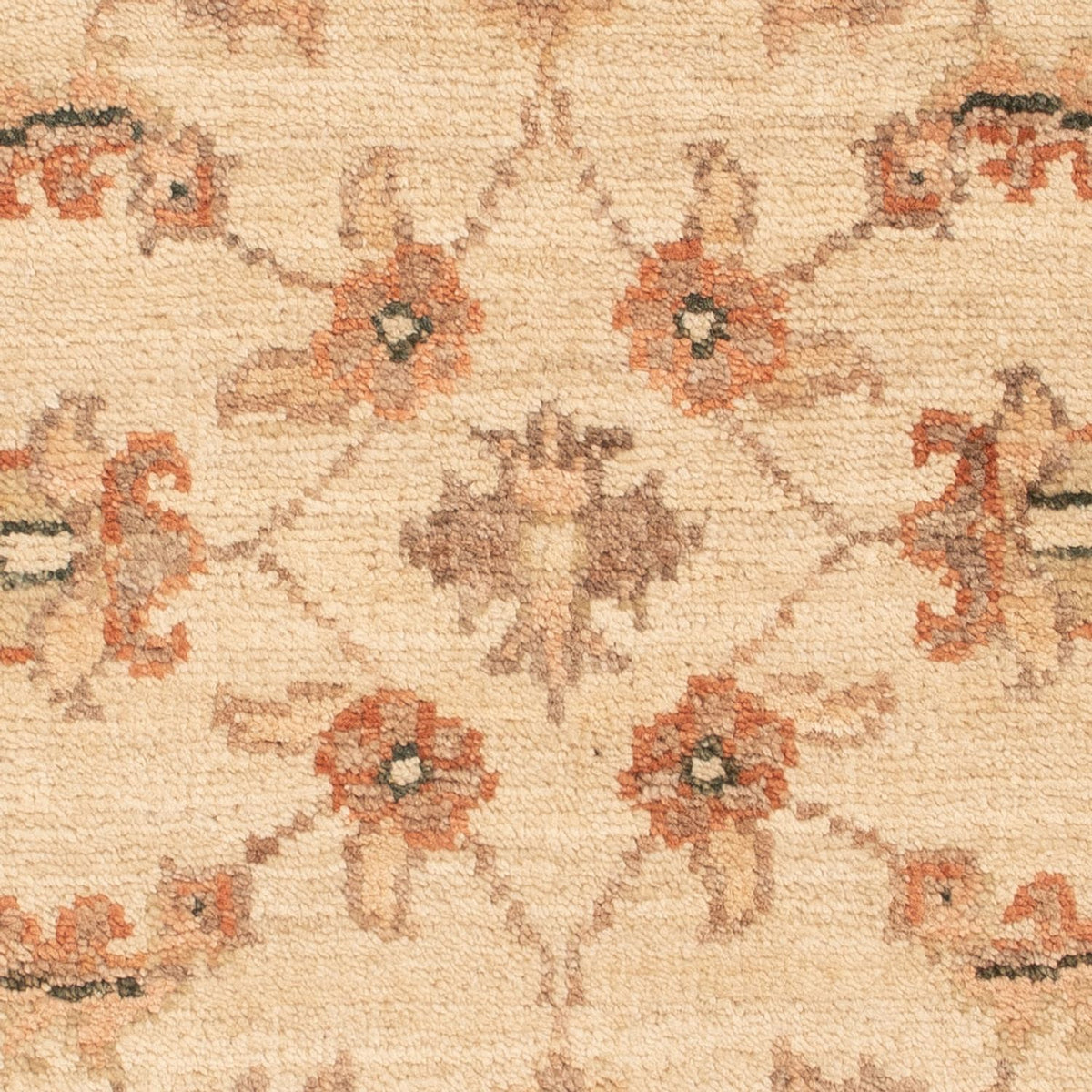 Ziegler Rug - 68 x 50 cm - beige