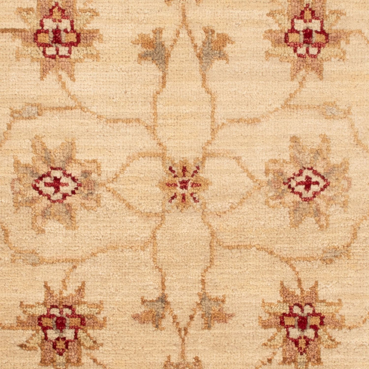 Ziegler Rug - 90 x 60 cm - beige