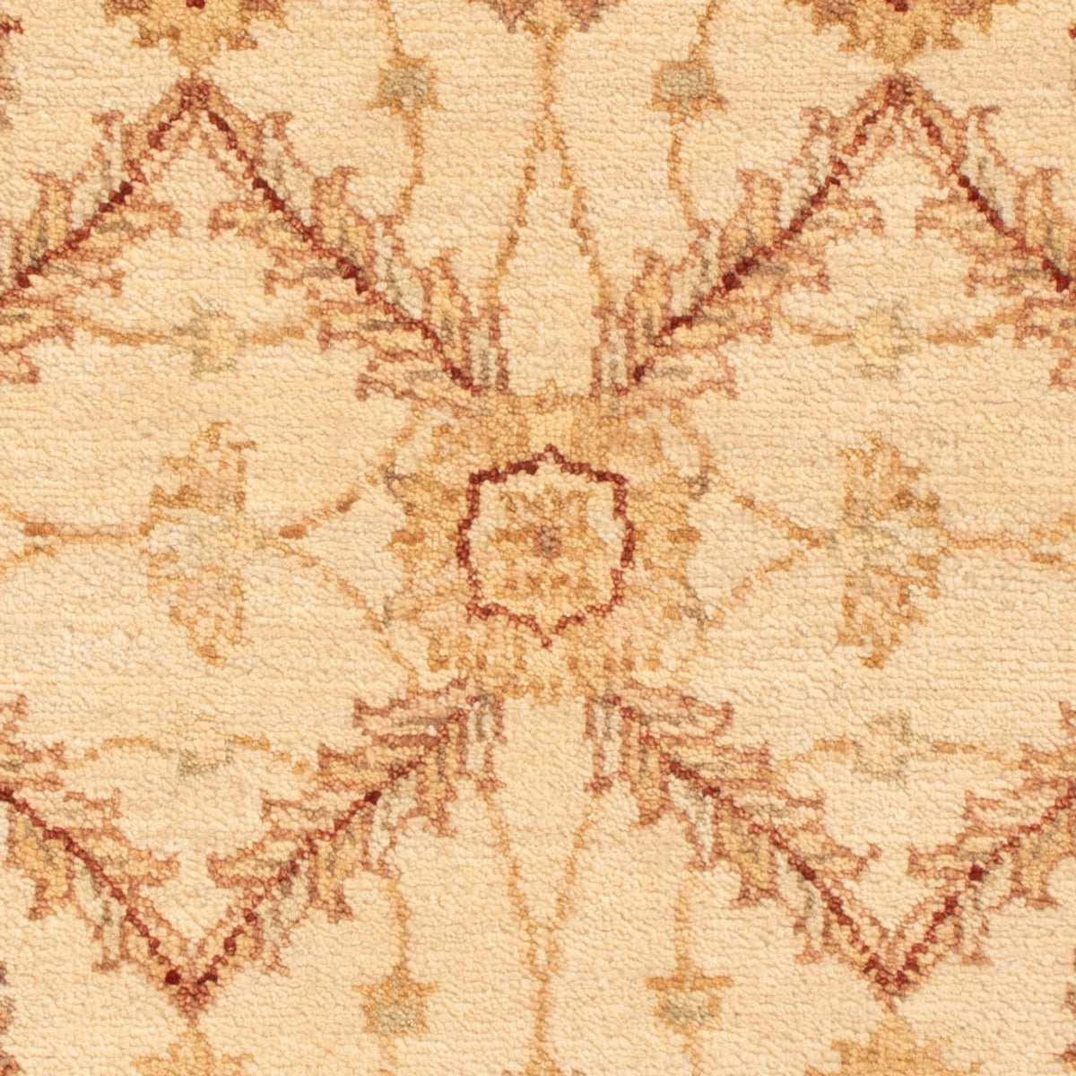 Ziegler Rug - 90 x 60 cm - beige