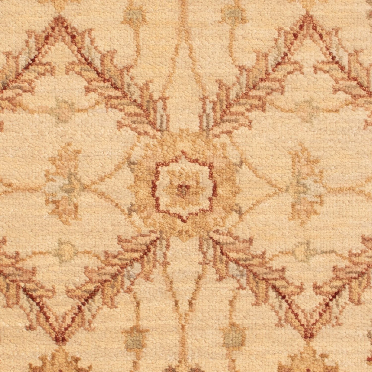 Ziegler Rug - 90 x 60 cm - beige