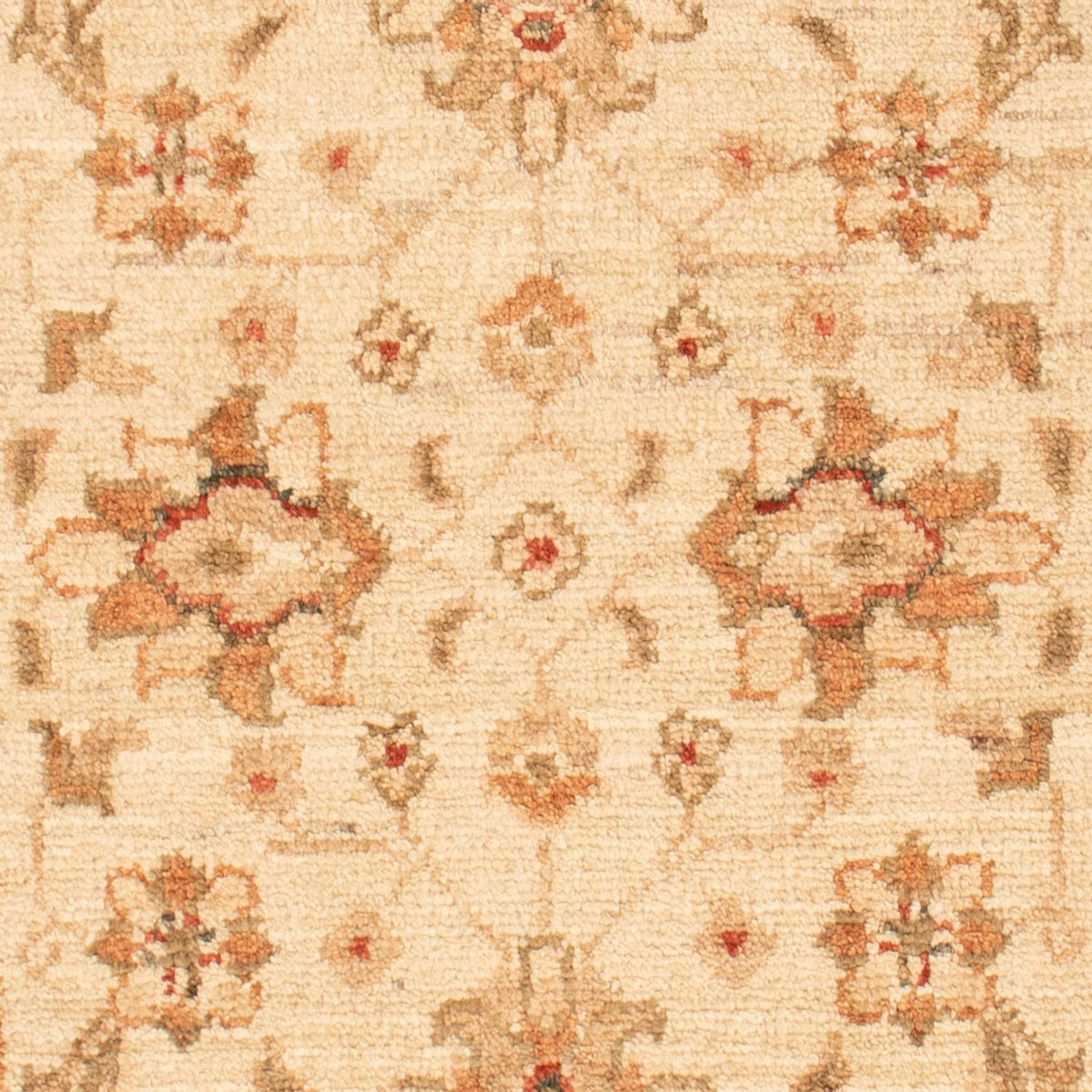 Ziegler Rug - 90 x 58 cm - beige