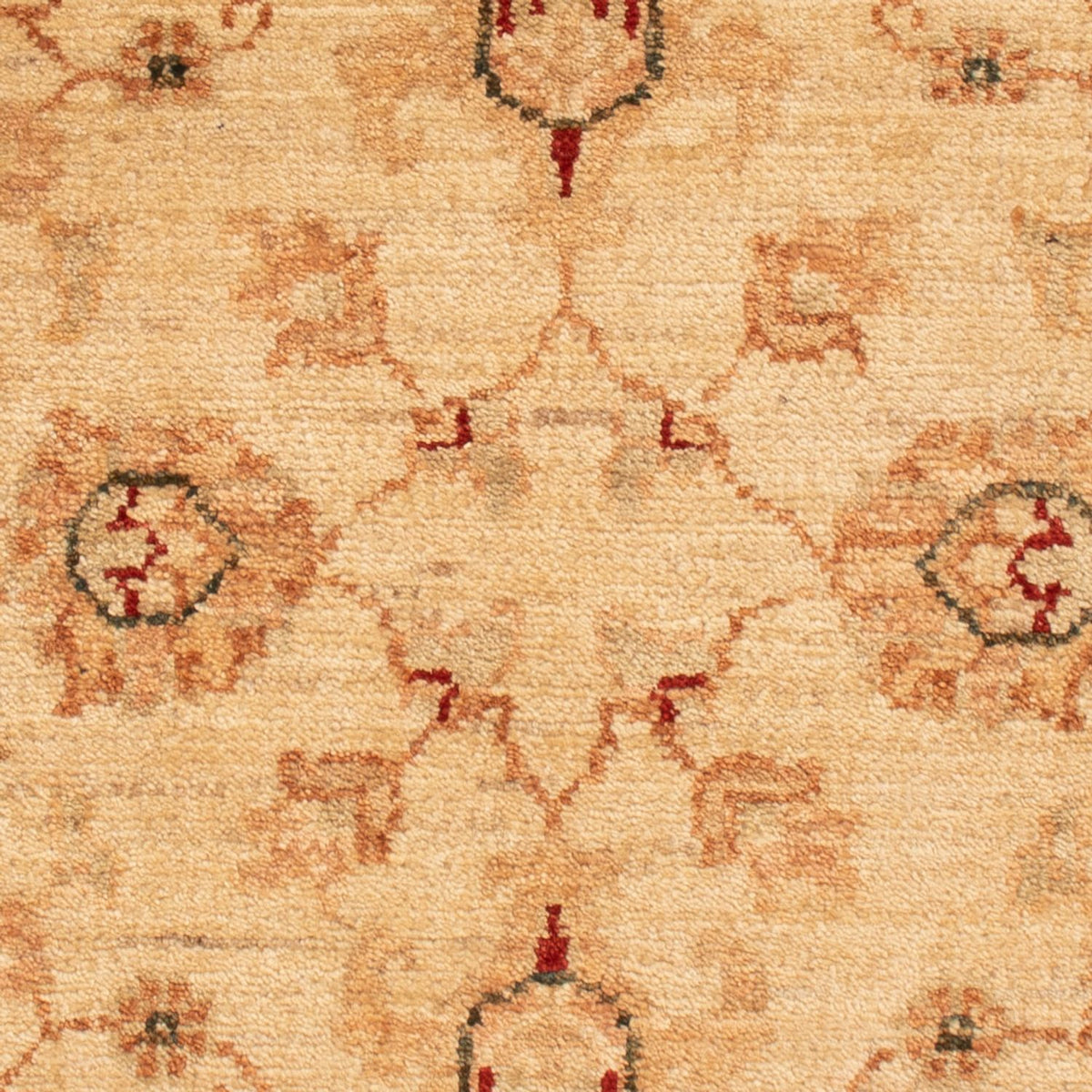 Ziegler Rug - 91 x 63 cm - beige