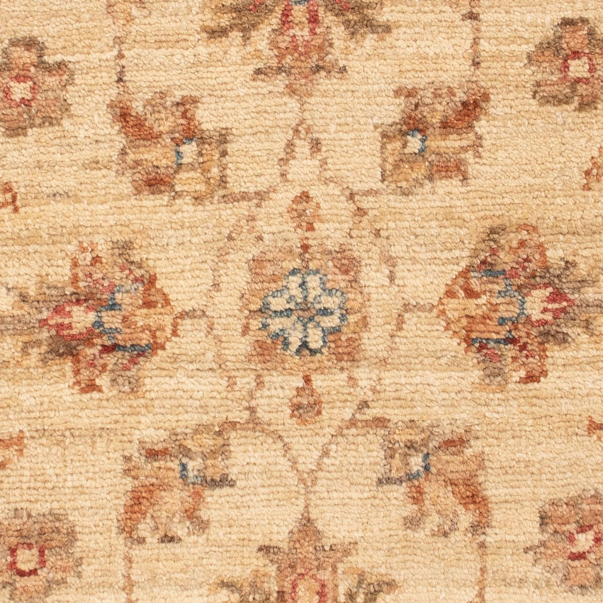 Ziegler Rug - 72 x 51 cm - beige