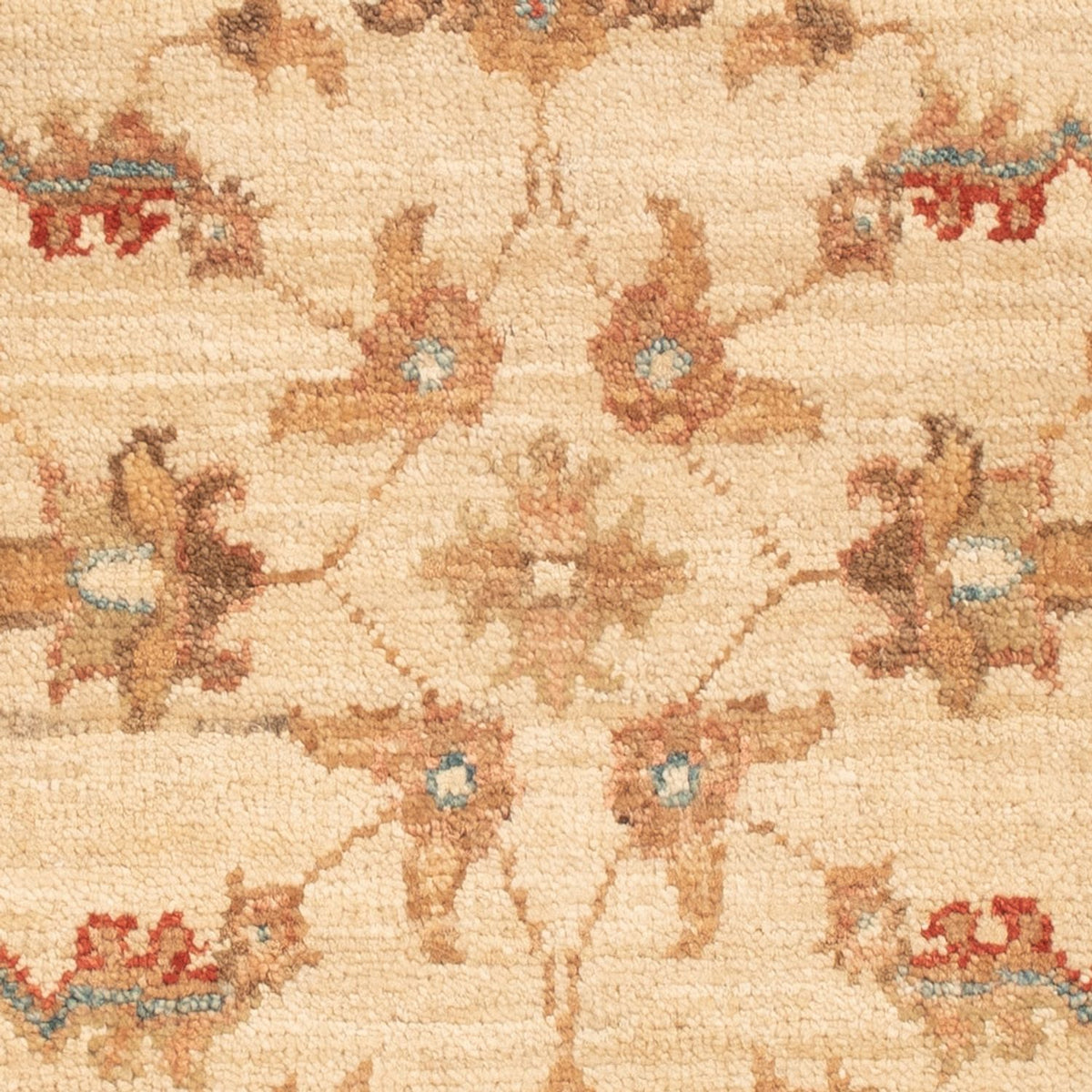 Ziegler Rug - 66 x 50 cm - beige