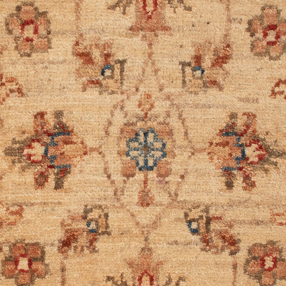 Ziegler Rug - 68 x 48 cm - beige