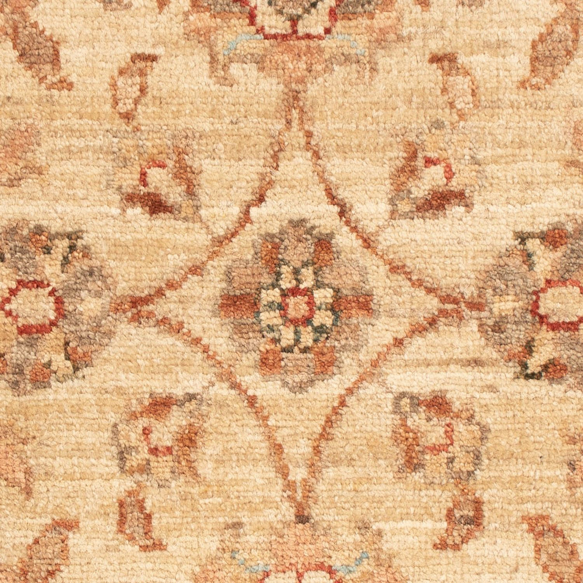 Ziegler Rug - 74 x 55 cm - beige