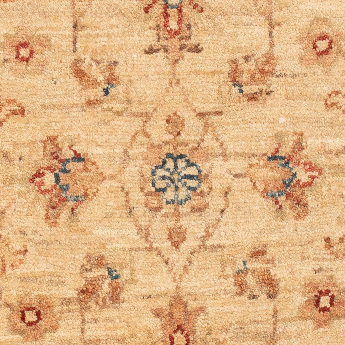Ziegler Rug - 75 x 52 cm - beige