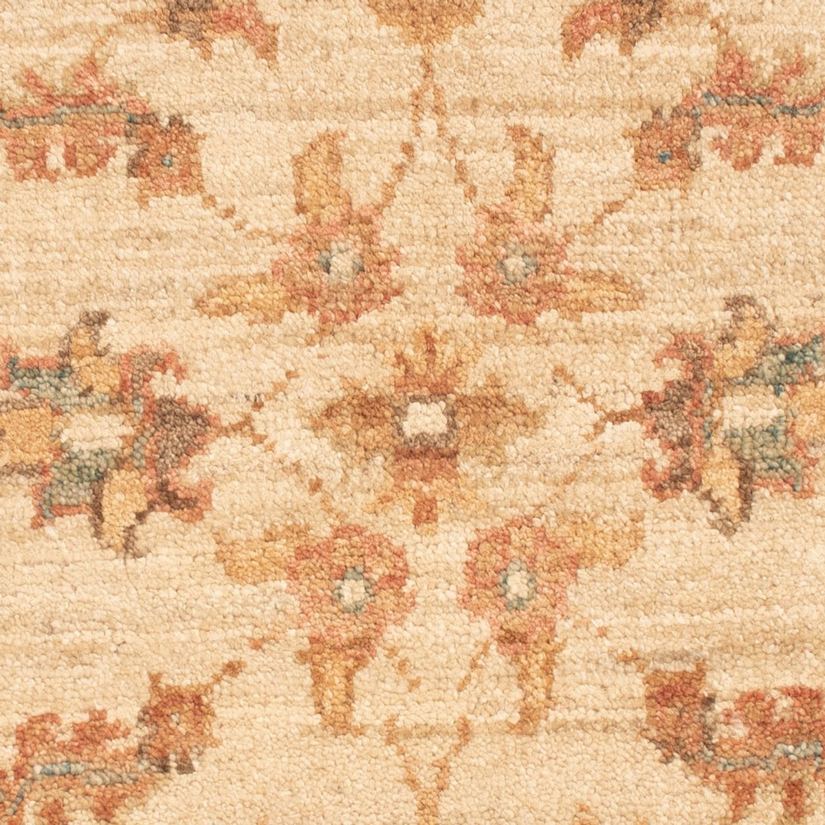 Ziegler Rug - 70 x 52 cm - beige