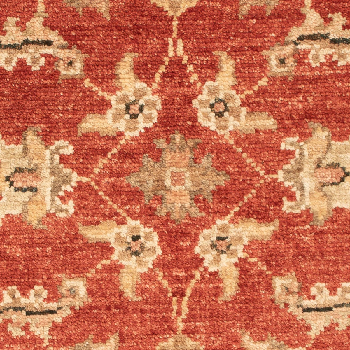 Ziegler Rug - 73 x 51 cm - rust