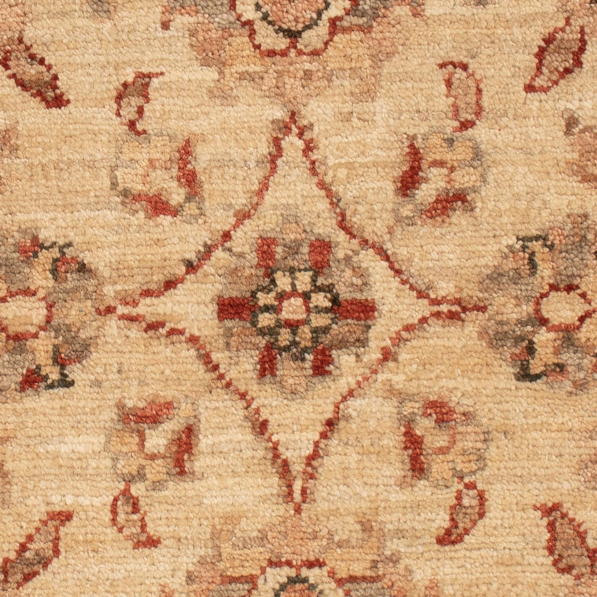 Ziegler Rug - 70 x 50 cm - beige