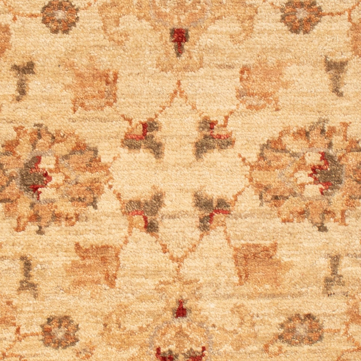 Ziegler Rug - 90 x 61 cm - beige