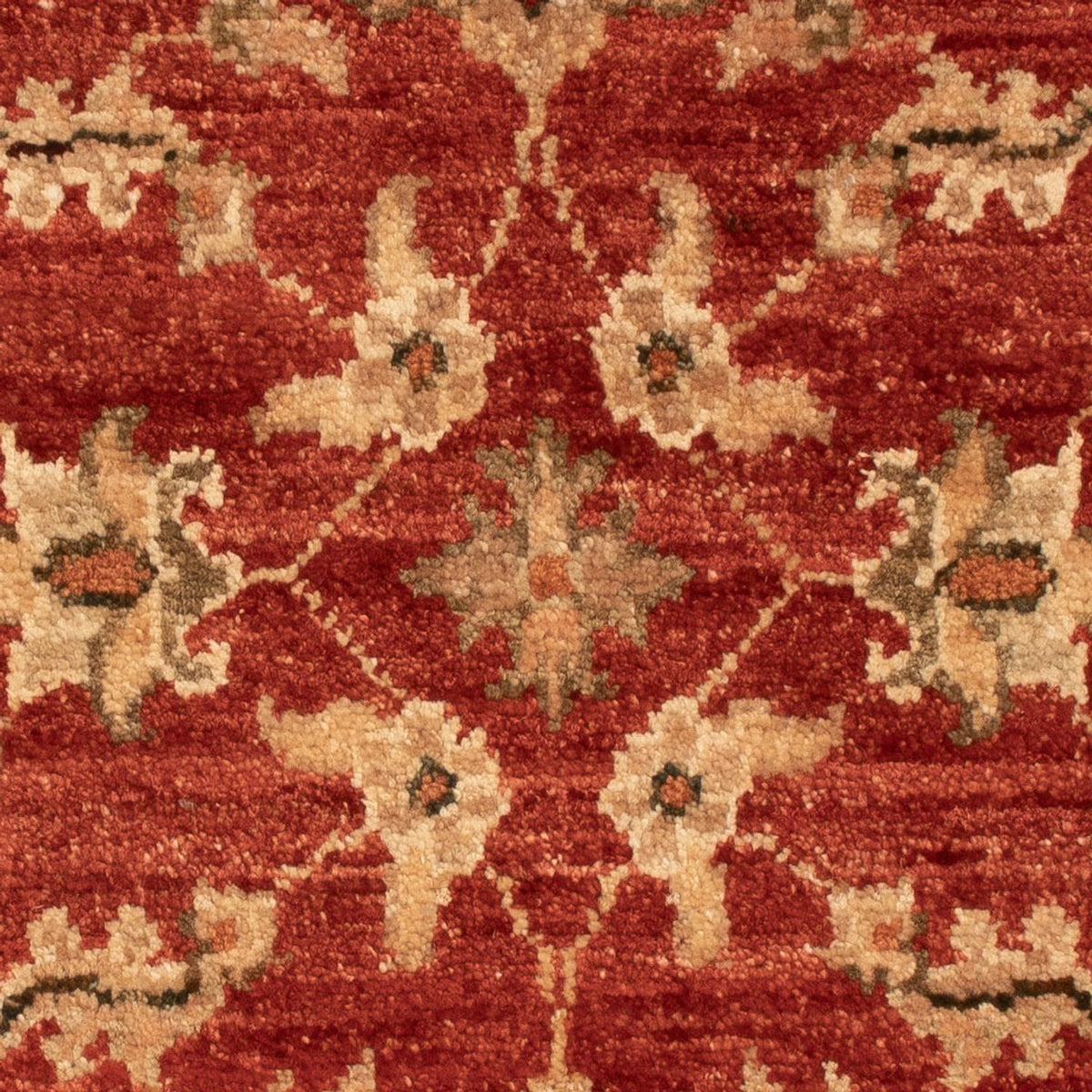 Ziegler Rug - 68 x 48 cm - red