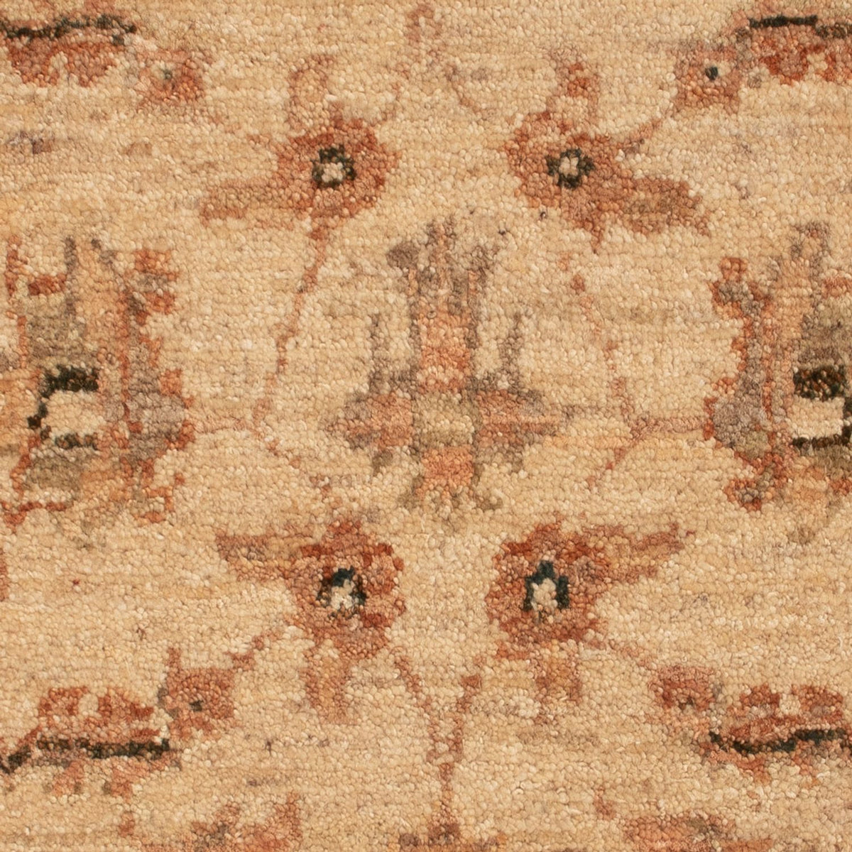 Ziegler Rug - 73 x 53 cm - beige