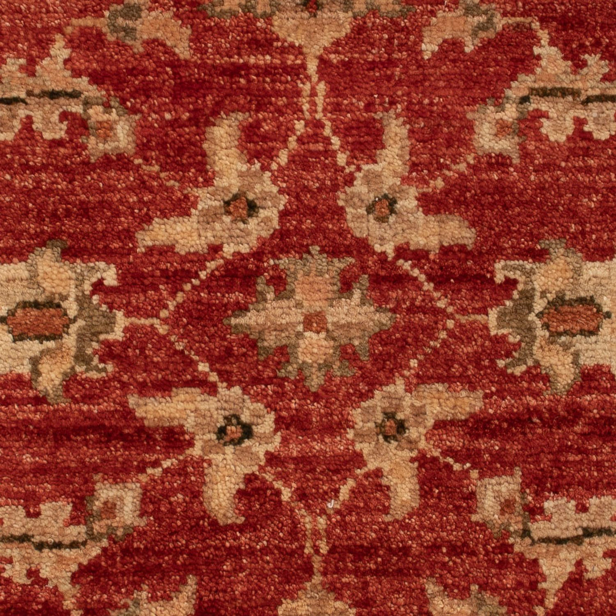 Ziegler Rug - 67 x 49 cm - red